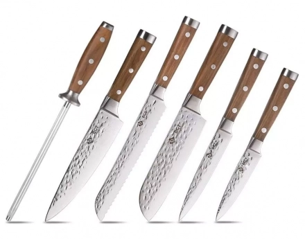 BGT Japanese 67 Layer High Grade VG-10 Super Damascus Steel Knives, Sharp, Teak Handle Professional Hammered Kitchen Knife Set with Knife Roll Bag 6Pcs Set (Silver Blade)